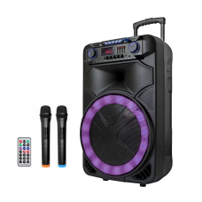 Автономна акустична система TMG ORIGINAL ZXX-1011 (1MIC + USB + SD + BT+TWS)