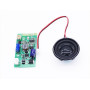 Плата Bluetooth и динамик для гироскутера