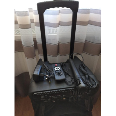 Колонка аккумуляторная портативная с микрофоном ZXX-7373/160W (USB/Bluetooth/FM/TWS)