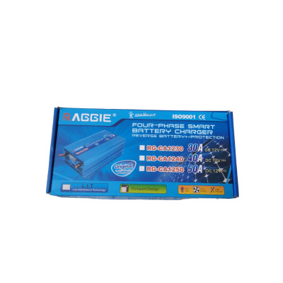 Зарядное устройство для автомобильного аккумулятора Raggie 12V, 50A