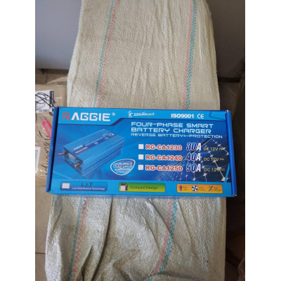 Зарядное устройство для автомобильного аккумулятора Raggie 12V, 50A