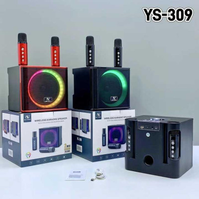 Портативна колонка з караоке мікрофонами YS309 10 W Bluetooth, HiFi, USB, microSD, AUX, Type-C