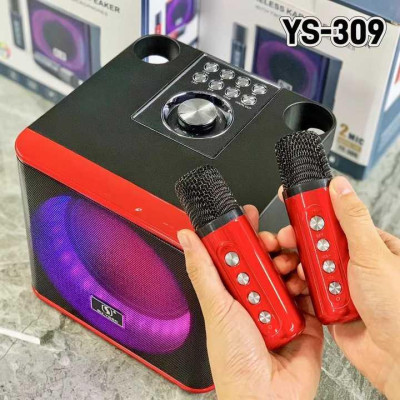 Портативна колонка з караоке мікрофонами YS309 10 W Bluetooth, HiFi, USB, microSD, AUX, Type-C