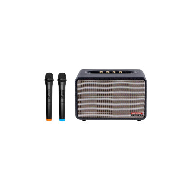 Автономная акустическая система TMG MX-0503 (BT+2MIC+USB+SD+FM)