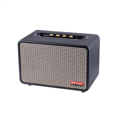 Автономная акустическая система TMG MX-0503 (BT+2MIC+USB+SD+FM)