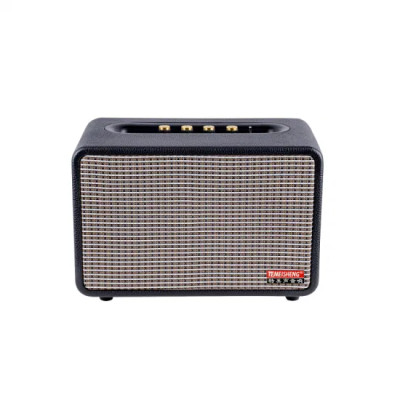 Автономная акустическая система TMG MX-0503 (BT+2MIC+USB+SD+FM)