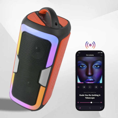 Портативная акустическая система Sing-E Bluetooth-динамик с FM + Пульт ДУ 25 Вт,