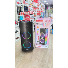 Портативная мошная Bluetooth-Колонка NDR-1010S динамики 2x10 Караоке и 2 радиомикрофона
