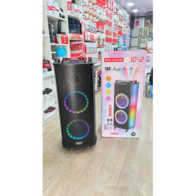 Портативная мошная Bluetooth-Колонка NDR-1010S динамики 2x10 Караоке и 2 радиомикрофона