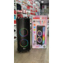 Портативная мошная Bluetooth-Колонка NDR-1010S динамики 2x10 Караоке и 2 радиомикрофона