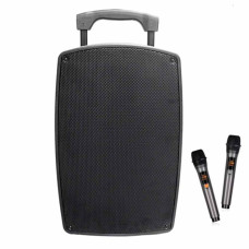 Аккумуляторная профессиональная акустика Temeisheng SL-12-32 (USB-BT-2MIC)