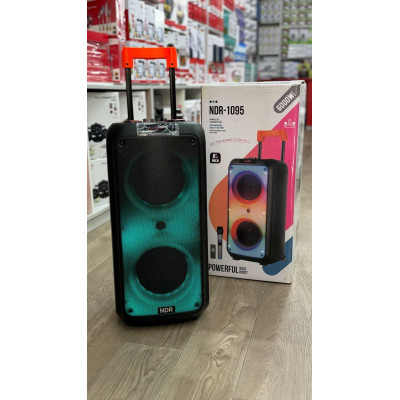 Колонка аккумуляторная NDR-1095 c радиомикрофоном (USB/BT/FM/TWS)
