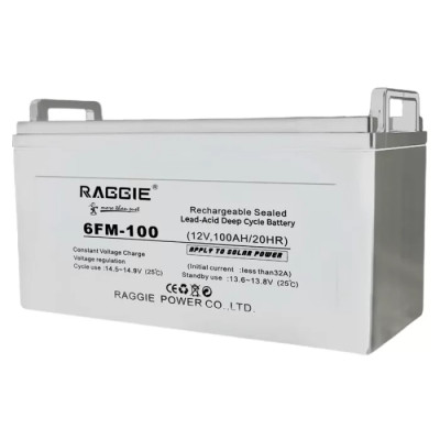 Комплект бесперебойного питания аккумулятор Raggie AGM 12V 100Ah + Инвертер RGSC-1500W-12V