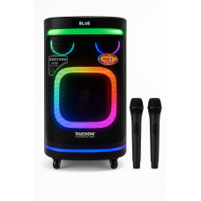 Мощная аккумуляторная акустика Temeisheng TMS-10291 (USB-BT-2MIC-300W)