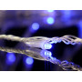 Гирлянда Водопад прозрачный провод 3,0мХ1,5м 320LED (синий) IT-RAINS-320-B