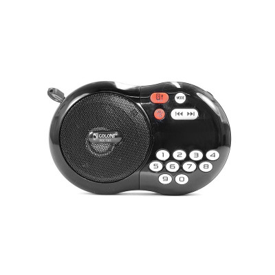 Радиоприемник FM/SD/USB/MP3/PowerBank Golon RX-142