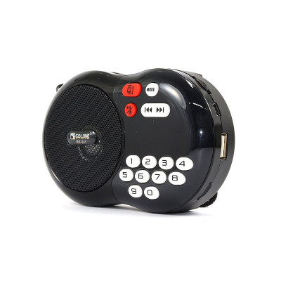 Радиоприемник FM/SD/USB/MP3/PowerBank Golon RX-142