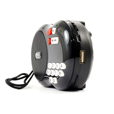 Радиоприемник FM/SD/USB/MP3/PowerBank Golon RX-142