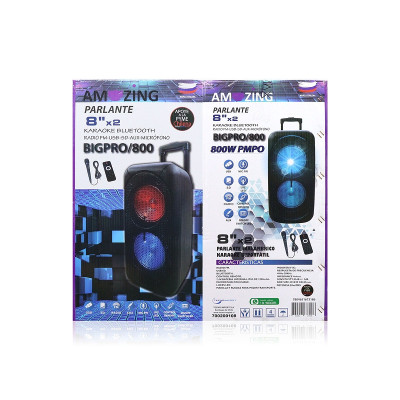 Акустична переносна колонка Parlante BigPro/800 800Вт 8" караоке 61х29х26см USB/SD/FM/BT/MIC/ДУ