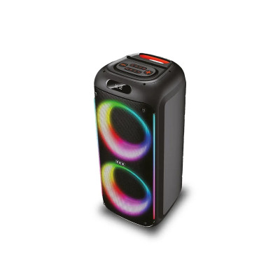 Акустическая переносная колонка ZXX-5504 1000Вт 2x6,5" 54x24х23 см USB/TWS/TF/REC/LED/EQ/FM/BT/MIC/ДК