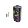 Акустическая переносная колонка ZXX-5509 1200Вт 2x6,5" 62х26х26 см USB/TWS/TF/REC/LED/EQ/FM/BT/MIC/ДК