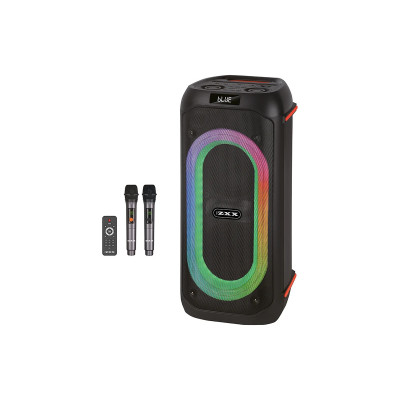 Акустическая переносная колонка ZXX-9095 80Вт 2×6,5" USB/TWS/TF/REC/LED/EQ/BT/2MIC/ДК