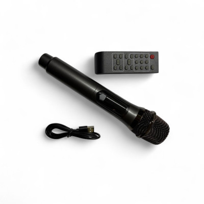 Акустическая переносная колонка FG206-22