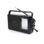 Радиоприемник Golon ICF-F19