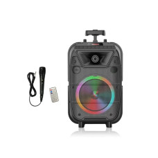 Колонка музыкальная портативная Bluetooth ZQS8121