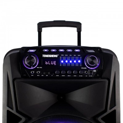 Колонка аккумуляторная с радиомикрофонами TMG ORIGINAL Temeisheng SK-015 (Bluetooth/USB/SD)