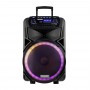 Колонка аккумуляторная с радиомикрофонами TMG ORIGINAL Temeisheng SK-015 (Bluetooth/USB/SD)