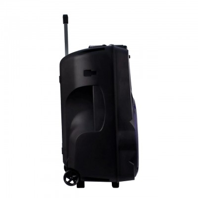 Колонка аккумуляторная с радиомикрофонами TMG ORIGINAL Temeisheng SK-015 (Bluetooth/USB/SD)