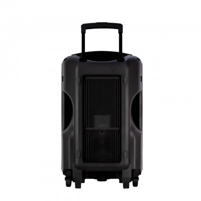 Колонка аккумуляторная с радиомикрофонами TMG ORIGINAL Temeisheng SK-015 (Bluetooth/USB/SD)