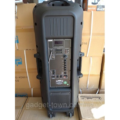 Колонка аккумуляторная Ailiang CA-1212 c радиомикрофонами (150W/USB/BT/FM)