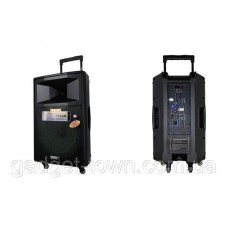 Портативная акустика с микрофонами Temeisheng SL15-04 /400W (USB/Bluetooth/Пульт ДУ/FM)