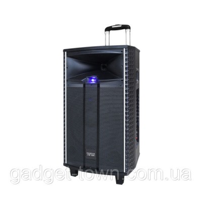 Аккумуляторная колонка с усилителем Temeisheng QX-1221 Комбик