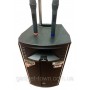 Аккумуляторная колонка с усилителем Temeisheng QX-1221 Комбик