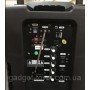 Колонка на аккумуляторе с беспроводным микрофоном Ailiang UF-1018 /100W (USB/Bluetooth/FM)