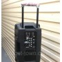Колонка на аккумуляторе с беспроводным микрофоном Ailiang UF-1018 /100W (USB/Bluetooth/FM)