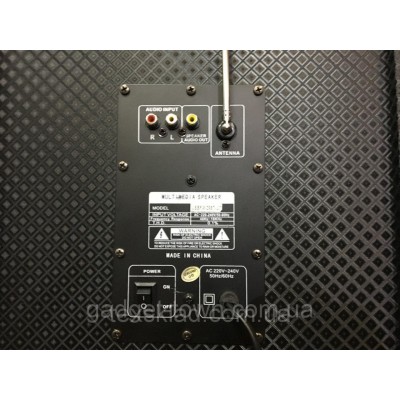 Акустическая система AILIANG 298F-DT, bluetooth акустика, колонки 10’’+10’’/USB/SD/FM