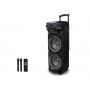 Колонка с аккумулятором ZXX-9292 / 2x10"/ 2x125W/ 2 радиомикрофона/ TMG ORIGINAL