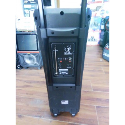 Колонка с аккумулятором ZXX-9292 / 2x10"/ 2x125W/ 2 радиомикрофона/ TMG ORIGINAL