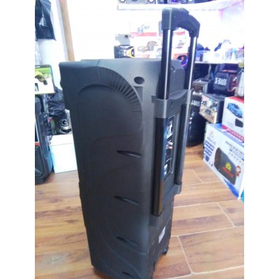 Колонка с аккумулятором ZXX-9292 / 2x10"/ 2x125W/ 2 радиомикрофона/ TMG ORIGINAL
