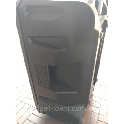 Аккумуляторная колонка профессиональная с микрофонами Temeisheng TMS-1521 / 400W (USB/Bluetooth/Пульт ДУ/ FM)