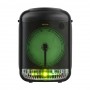 Портативная колонка Ailiang KOLAV-J801 (FM/USB/Bluetooth)
