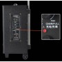 Аккумуляторная колонка с усилителем Sansui SA1-10 + 2 радиомикрофона