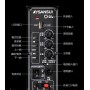 Аккумуляторная колонка с усилителем Sansui SA1-10 + 2 радиомикрофона