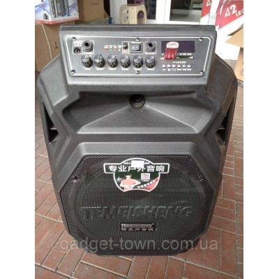Акумуляторная колонка с микрофонами SL12-08 (USB/Bluetooth/2 радиомикрофона)