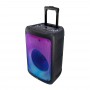 Колонка аккумуляторная Temeisheng Partybox 1215 c радиомикрофоном (USB/BT/FM/TWS)