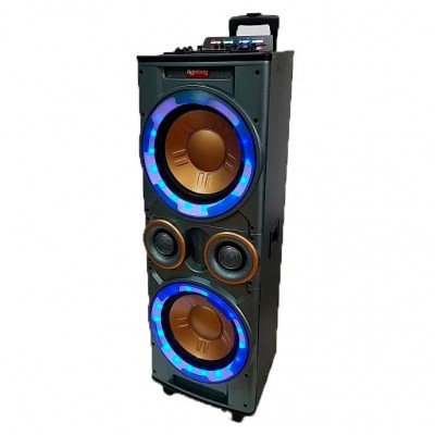 Колонка активная мощная 2х12 дюймов Rainberg 300W сетевая /DJ пульт/ BT/ SD+USB+FM/ LED